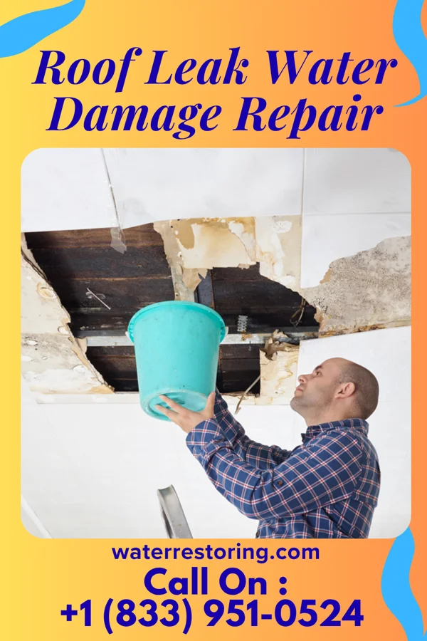 Roof Leak Water Damage Repair in Morrison Crossroads, AL
